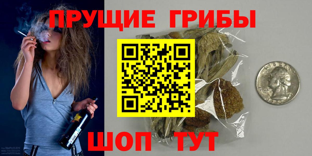 Нововоронеж  Псилоцибиновые грибы мицелий  Вход с VPN 