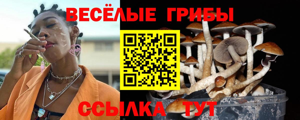 Псилоцибиновые грибы прущие грибы Нововоронеж